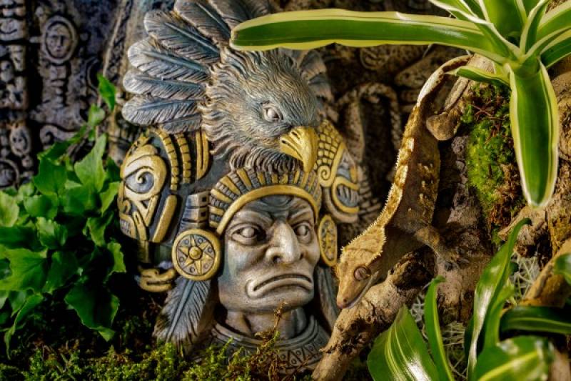 Exo Terra Aztec Warrior
